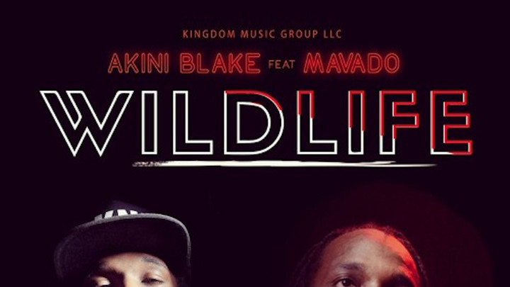 Akini Blake feat. Mavado - Wild Life [7/6/2018]