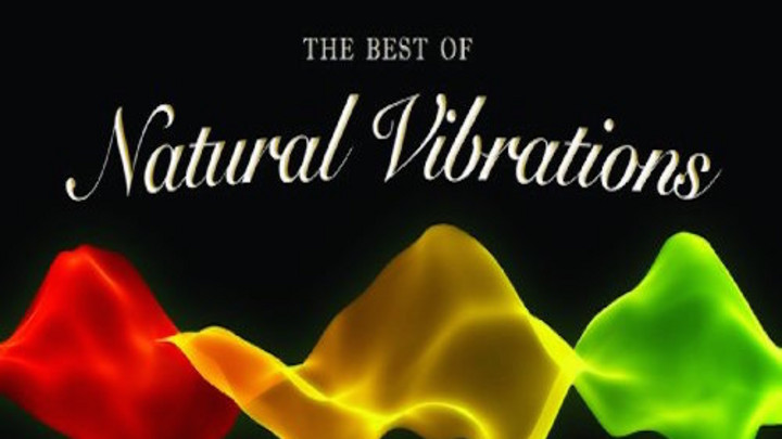 Natural Vibrations - Into Me [1/1/2009]