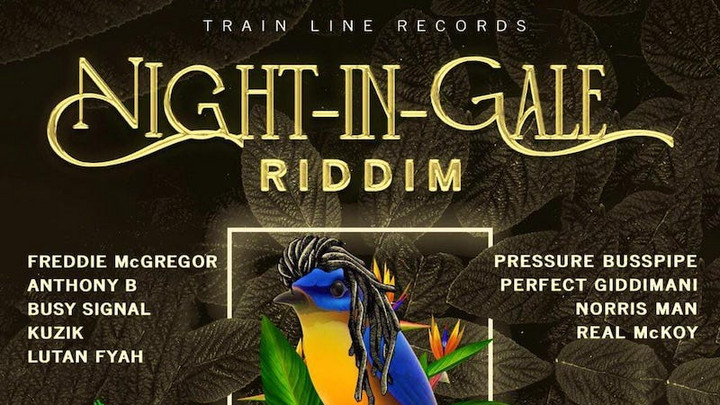 Night In Gale Riddim (Full Album) [1/1/2022]