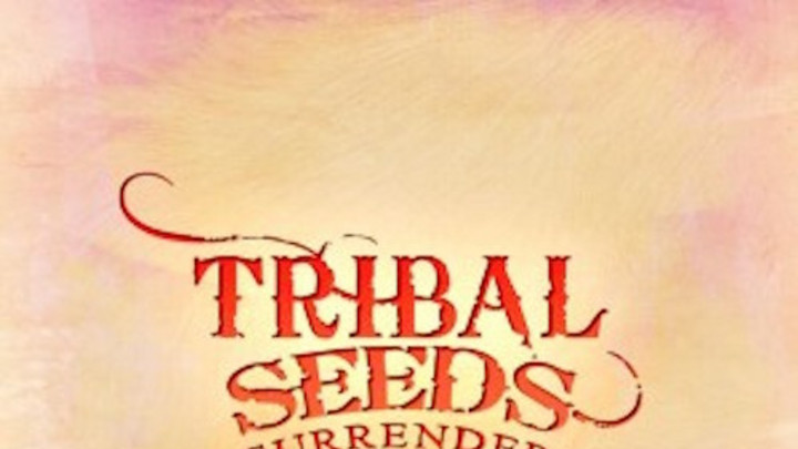 Tribal Seeds - Surrender [2/11/2016]