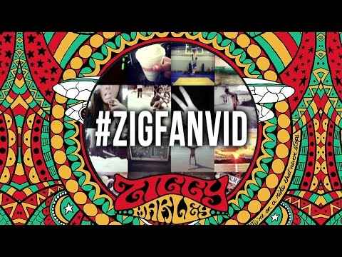 Ziggy Marley - I Get Up (Fan Instagram Lyric Video) [9/4/2014]