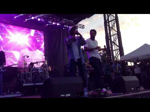 Beres Hammond & Shaggy - Can't Fight This Feeling @ Groovin In The Park 2014 [6/29/2014]