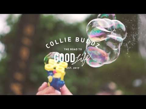 Collie Buddz - Road To Good Life #3 [6/2/2017]