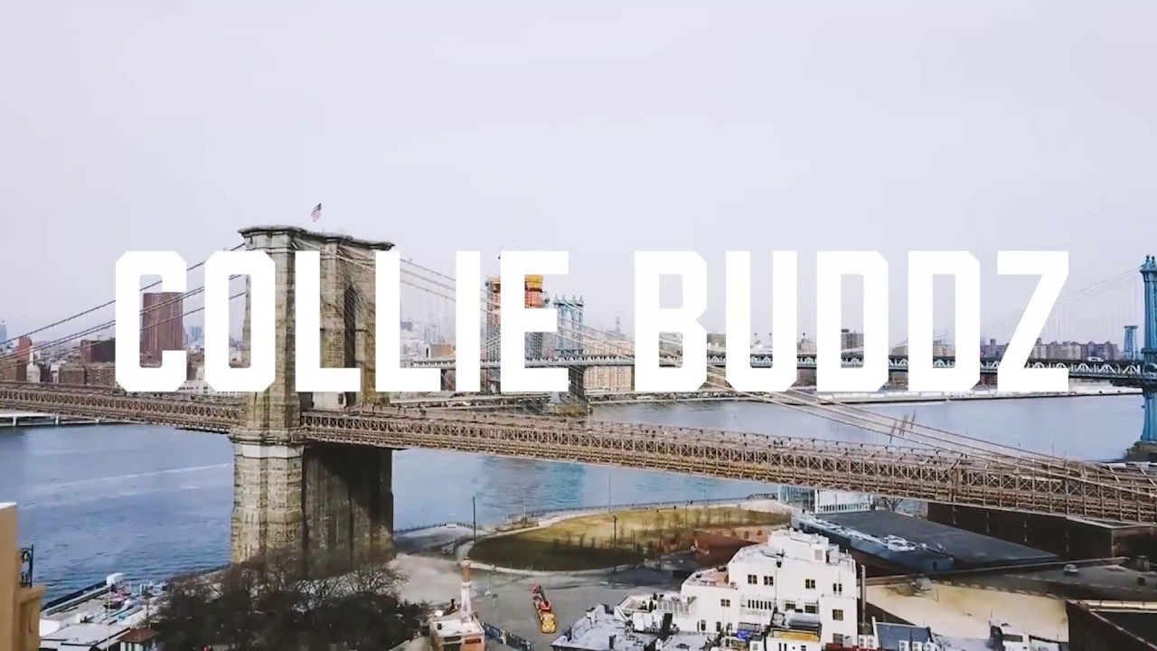Collie Buddz - Good Life East Coast Tour (Recap) [1/29/2018]
