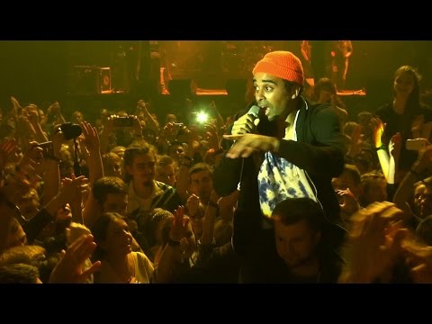 Patrice performing in the crowd @ One Love Sound Fest 2014 [11/22/2014]
